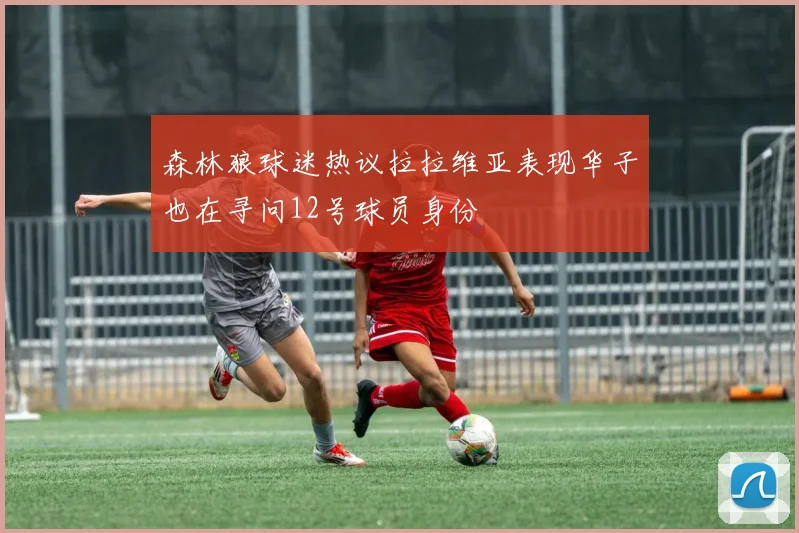 森林狼球迷热议拉拉维亚表现华子也在寻问12号球员身份