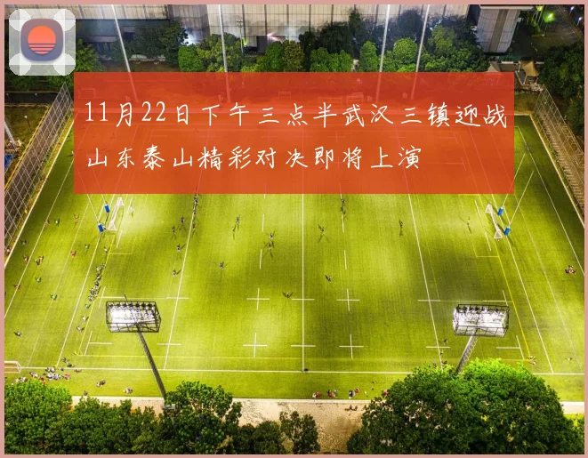 11月22日下午三点半武汉三镇迎战山东泰山精彩对决即将上演