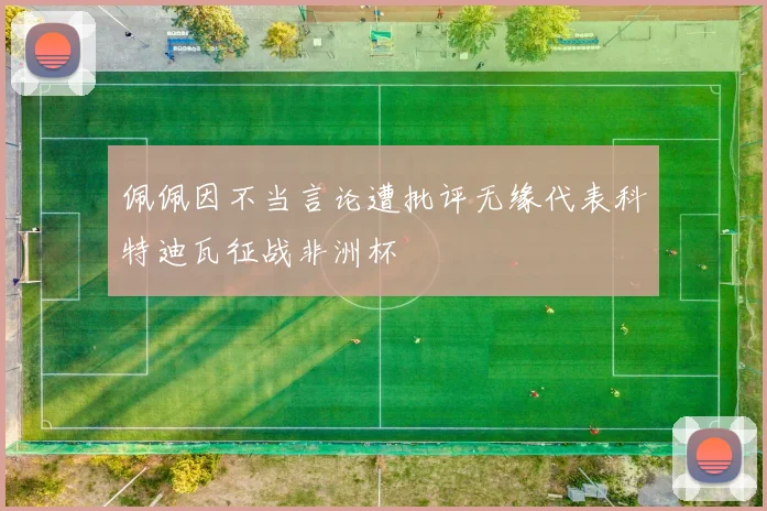 佩佩因不当言论遭批评无缘代表科特迪瓦征战非洲杯