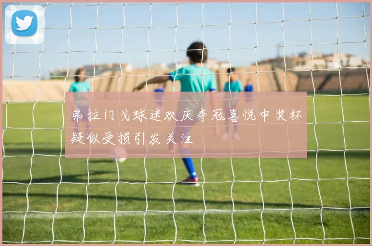 弗拉门戈球迷欢庆夺冠喜悦中奖杯疑似受损引发关注