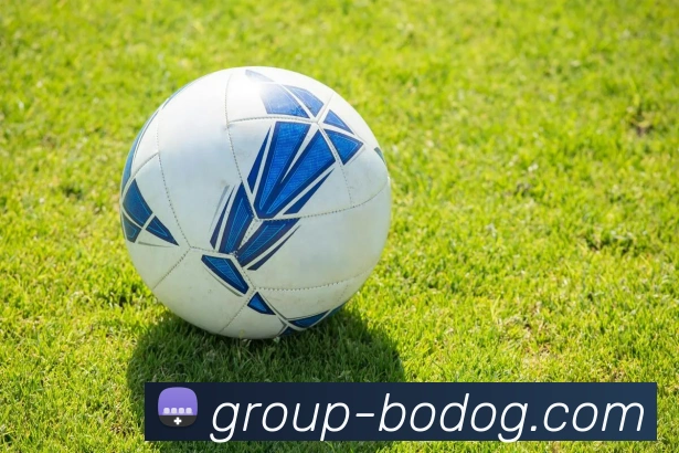 博狗娱乐APP 高清赛事图